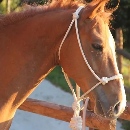 Holiday Ranch * Salerno