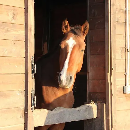 Holiday Ranch * Salerno
