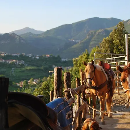 Holiday Ranch Çiftlik konaklama